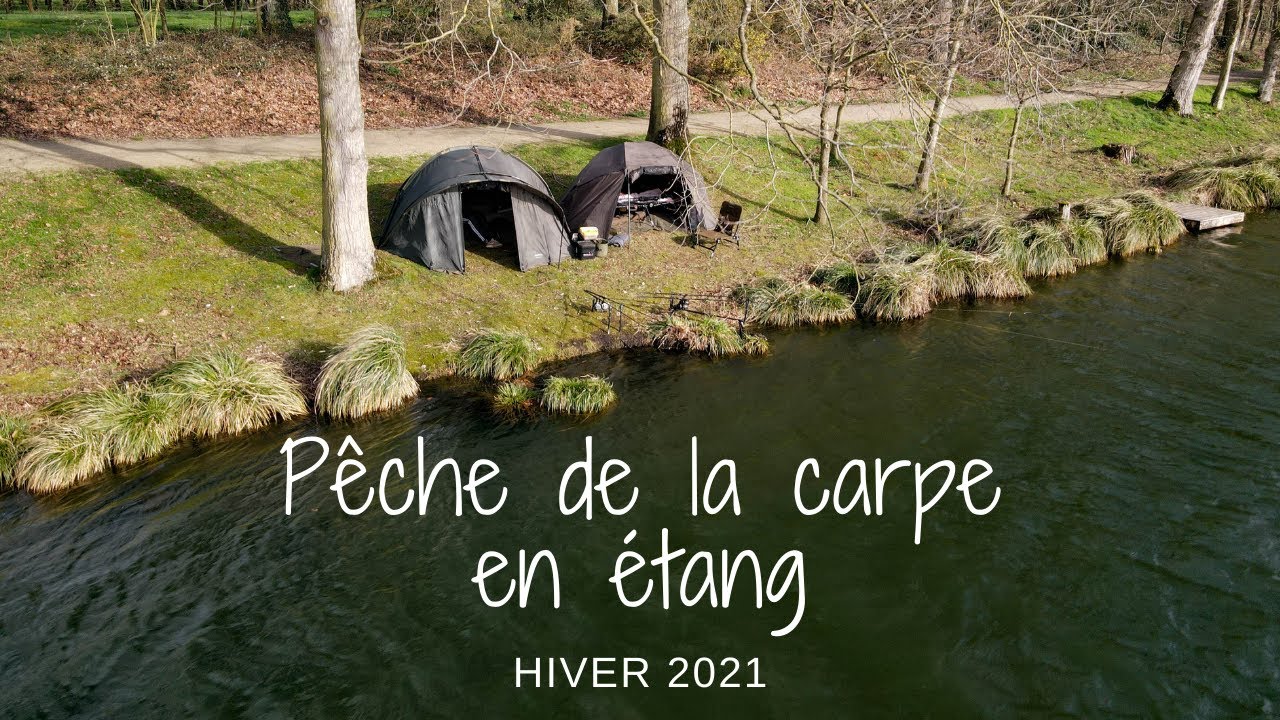 Pêche de la carpe en étang / hiver 2021 / 4 K