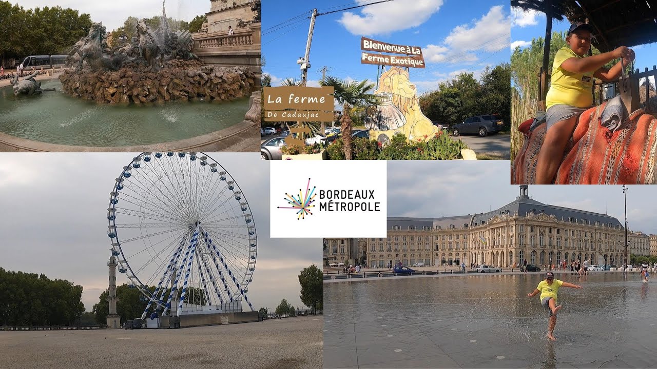 🙈🏙️ Visite de la ville de Bordeaux, et de la ferme exotique de Cadaujac à dos de dromadaire