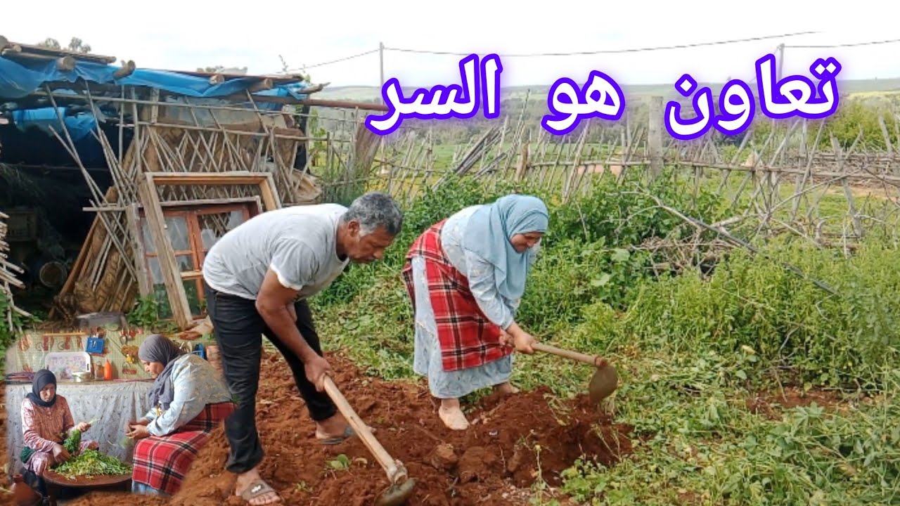 التعاون سر النجاح...مع فاطمة المكافحة  القلب الكبير