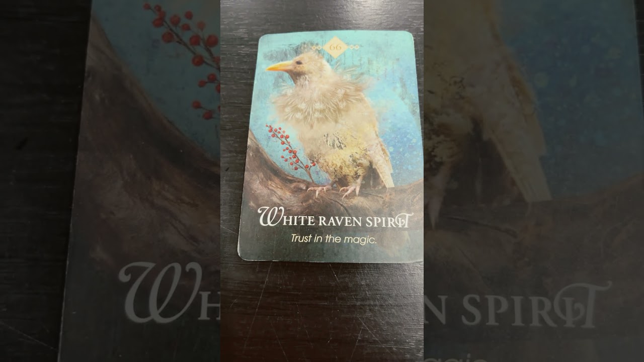 #482