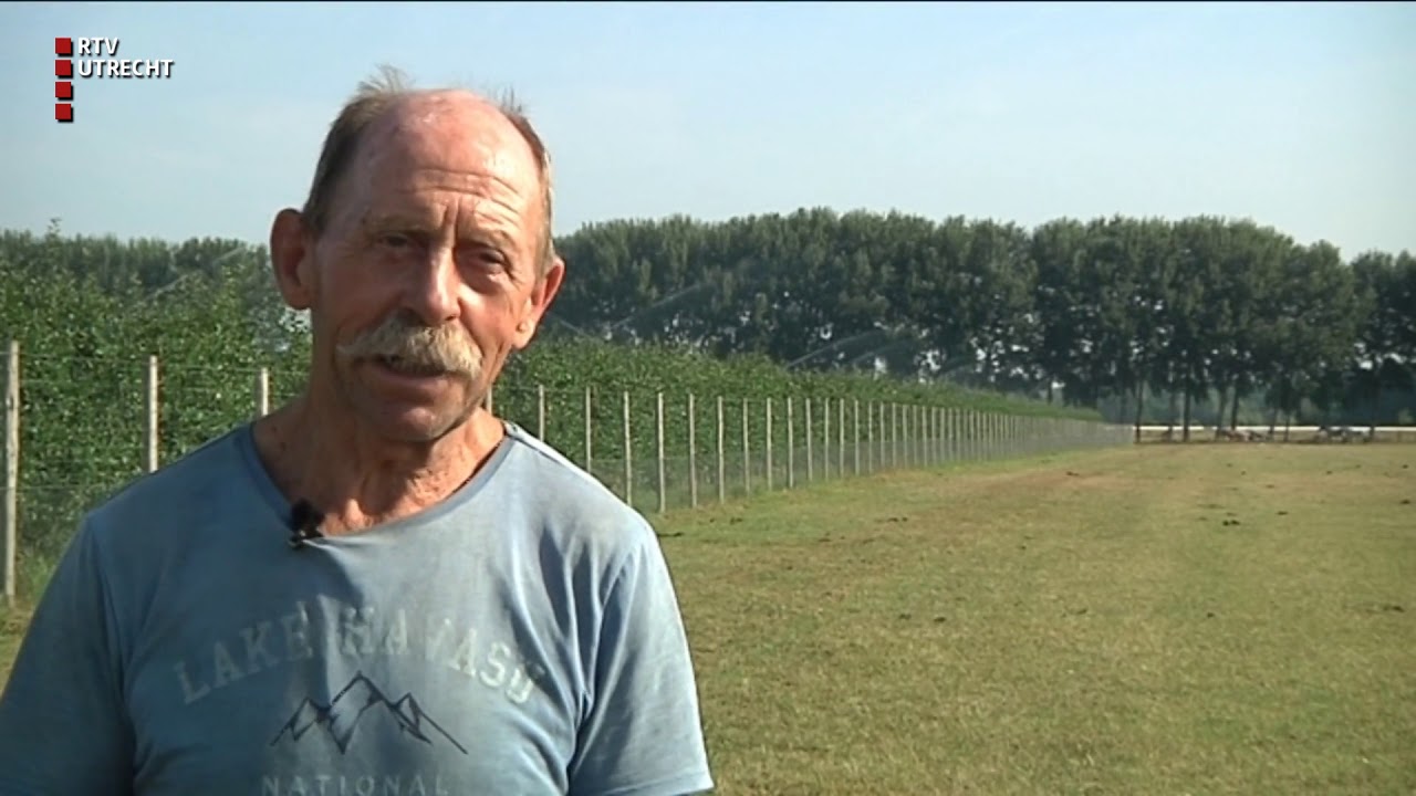 Fruittelers vrezen sproeiverbod vanwege hitte [RTV Utrecht]