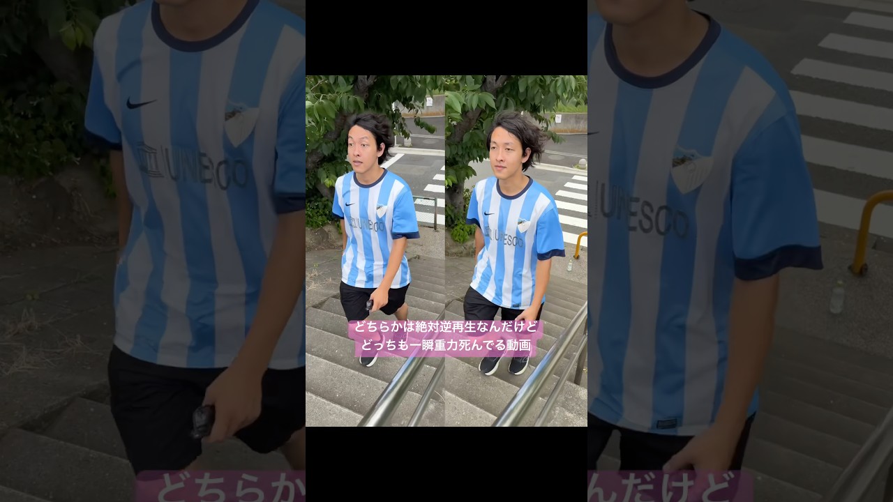 どっちが逆再生かよくわからん動画。