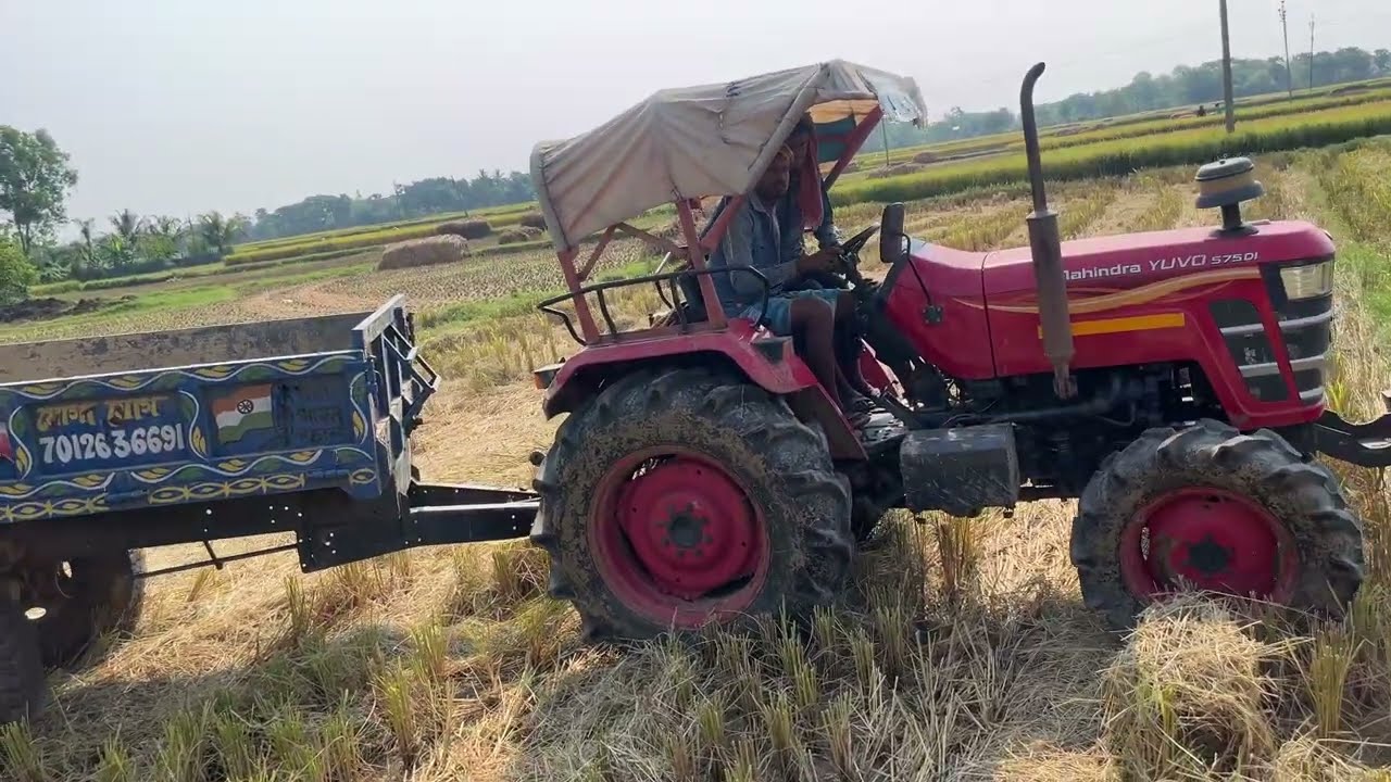 tracktor loading extrac paddy #mahindratractortrolleyvideos #mahindra585di 