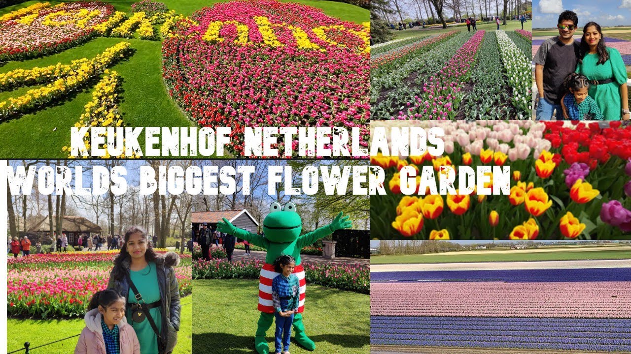 Keukenhof Netherlands | World's Biggest Flower Garden | Tulips | Tamil | தமிழ் |