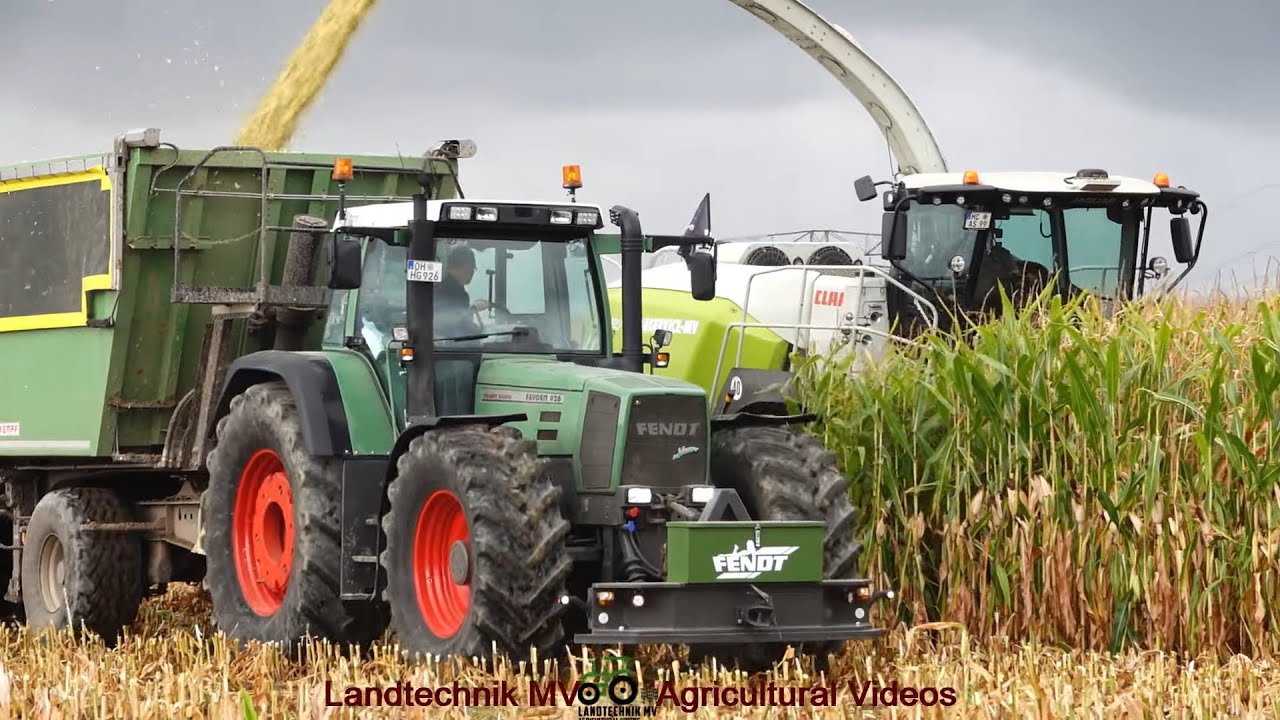 Claas - Fendt - MB - Cat / Maissilage - Silaging Maize  2024