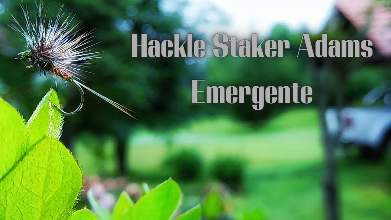 Montaje de Hackle Staker Adams/emergente/paso a paso