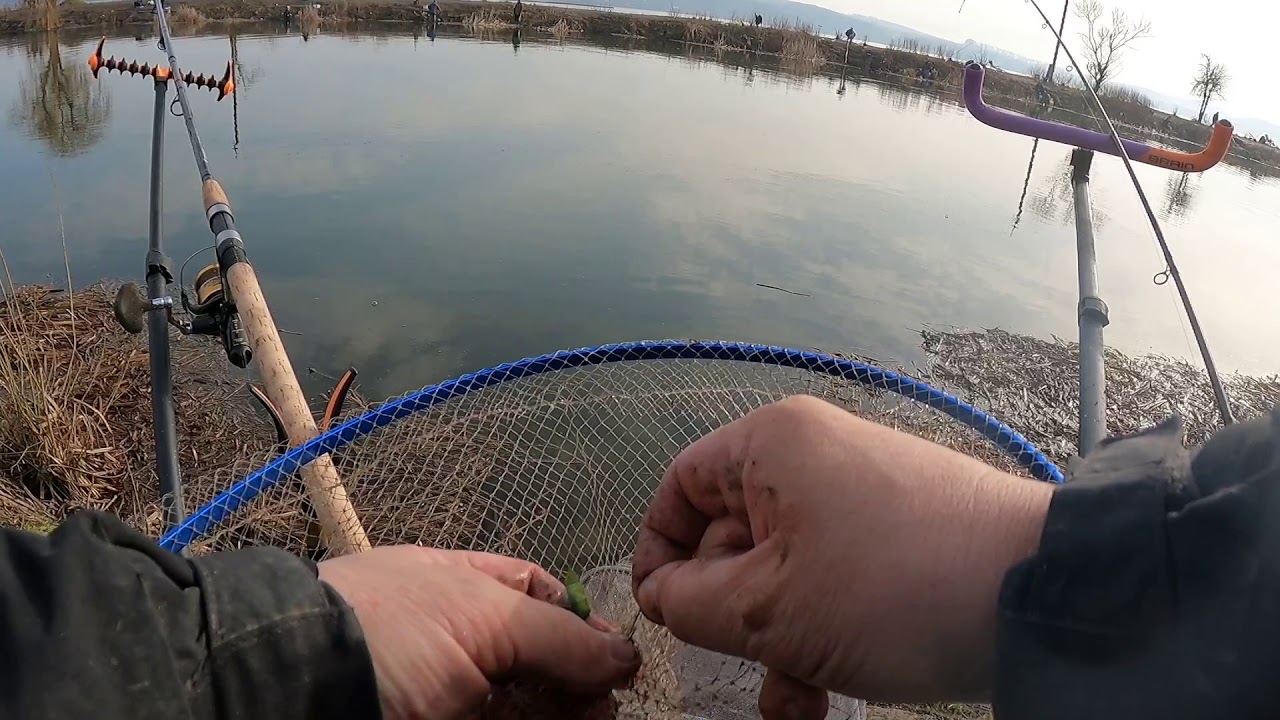 Флет проти фідера на Бурштині