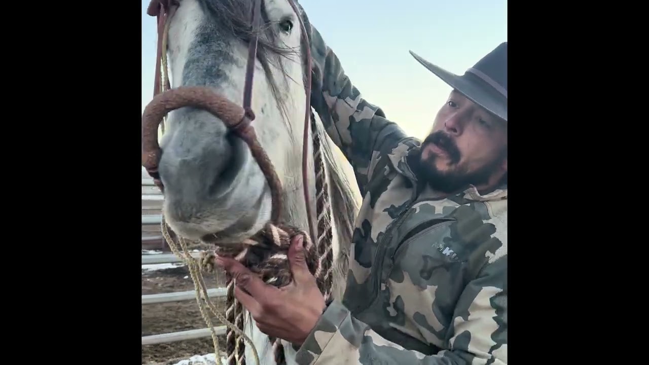 Attaching A Hanger To A Bosal wand Fitting It To A Horse