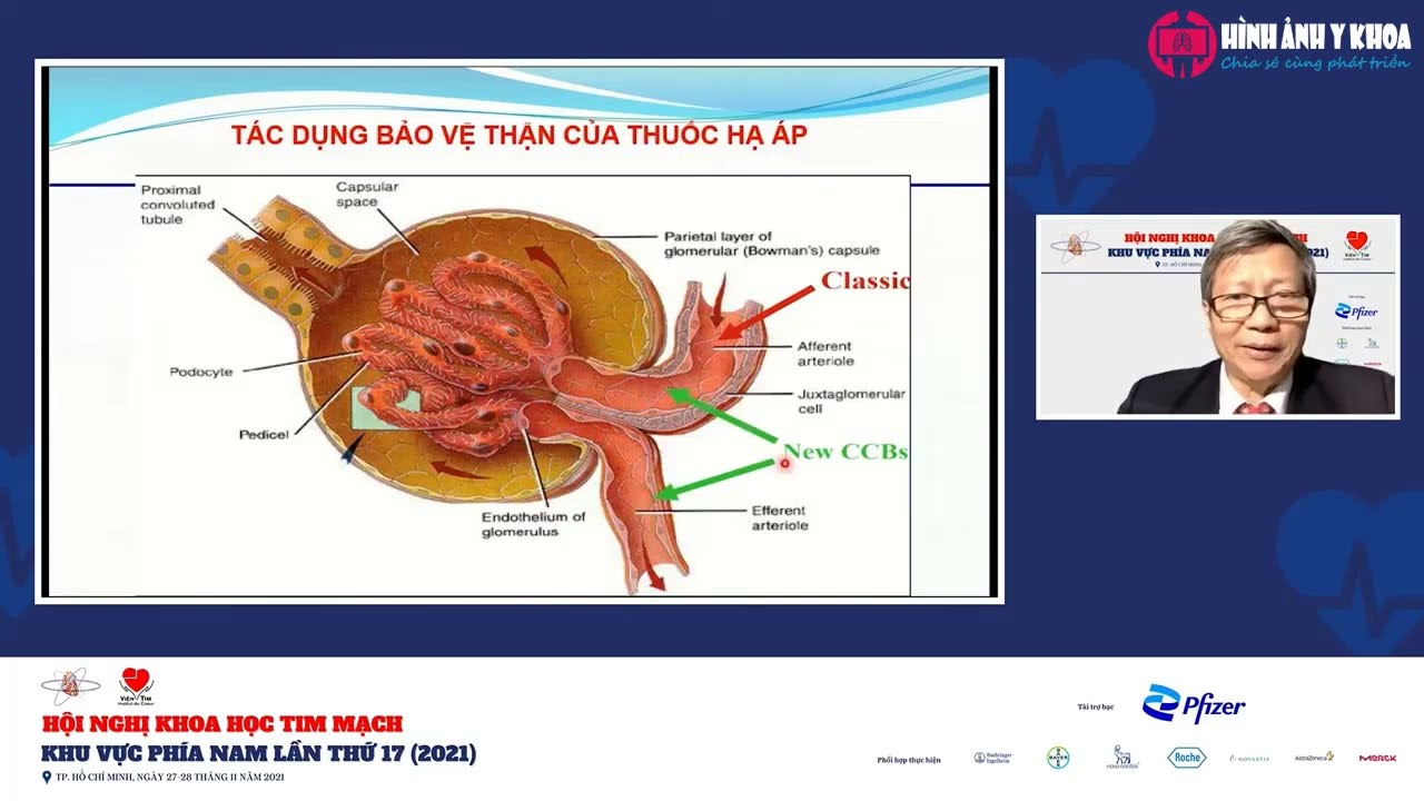 Chuyên đề 7: Lựa chọn thuốc hợp lý trong điều trị tăng huyết áp (Hội nghị Tim mạch phía Nam 17)