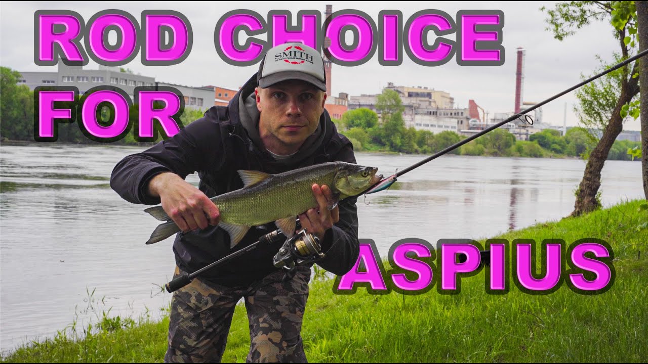 ЛУЧШЕЕ УДИЛИЩЕ для ловли ASPIUS