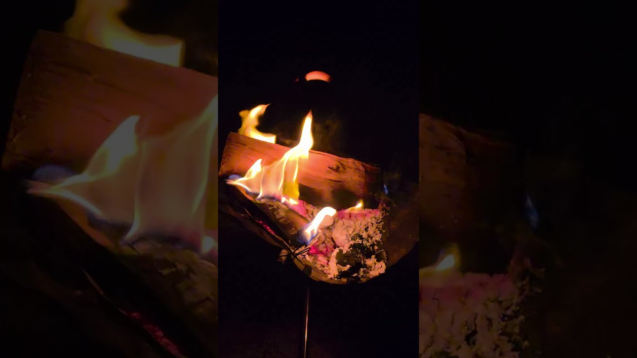 Asmr : Calming firewood burning # campfire # winter night