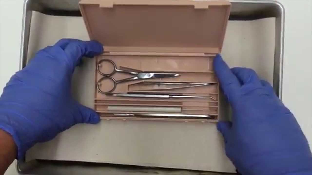Dissection Kit Introduction