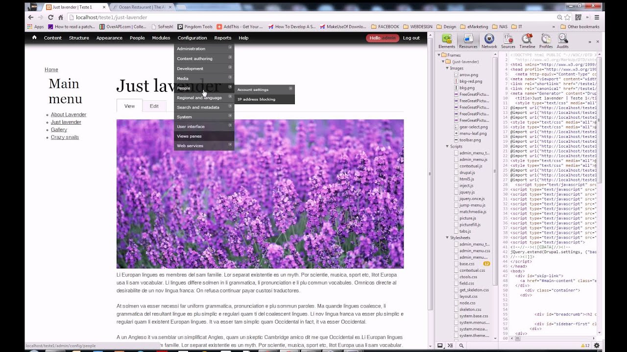 Creative side effect of Picture's module for Drupal 7