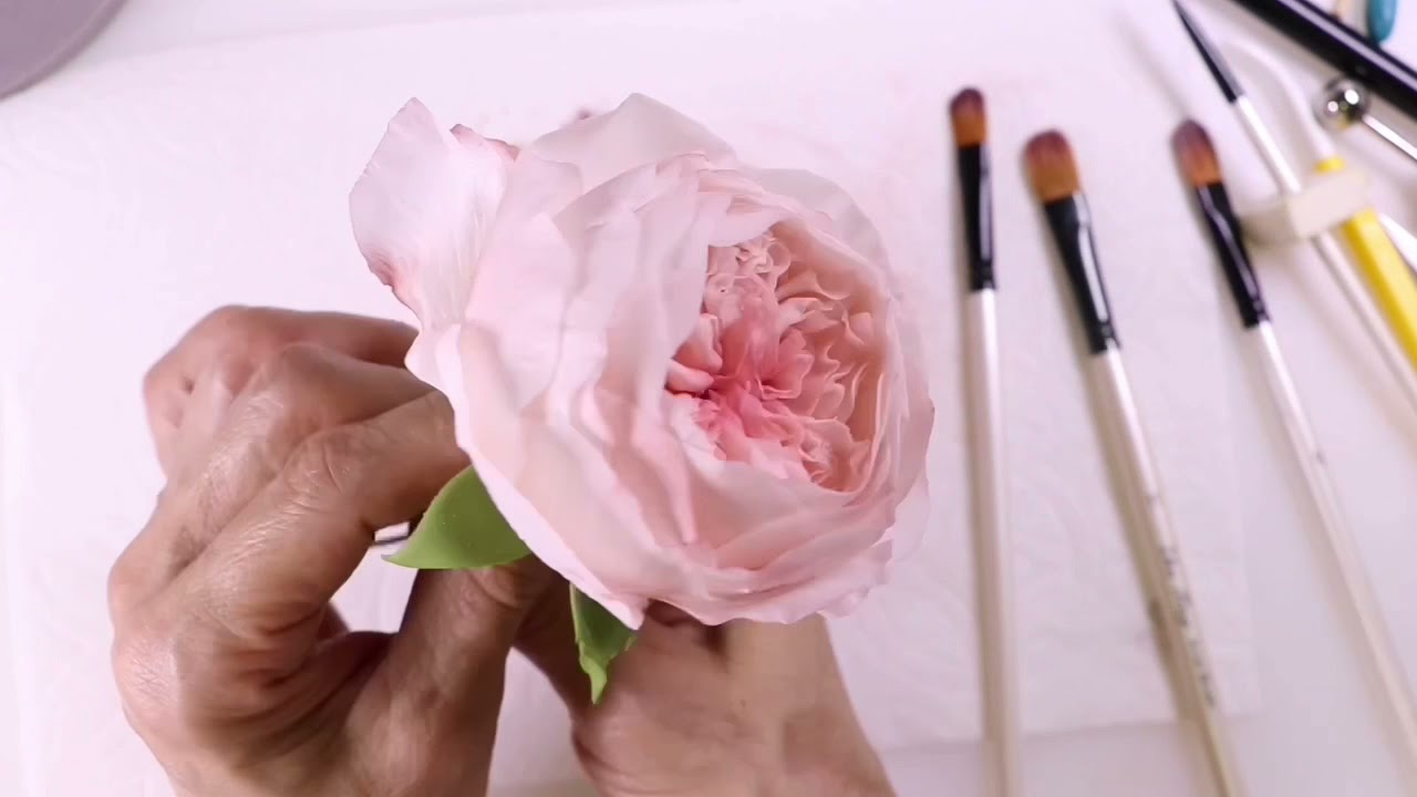 Sugar Flower ~ David Austin Rose Part 3