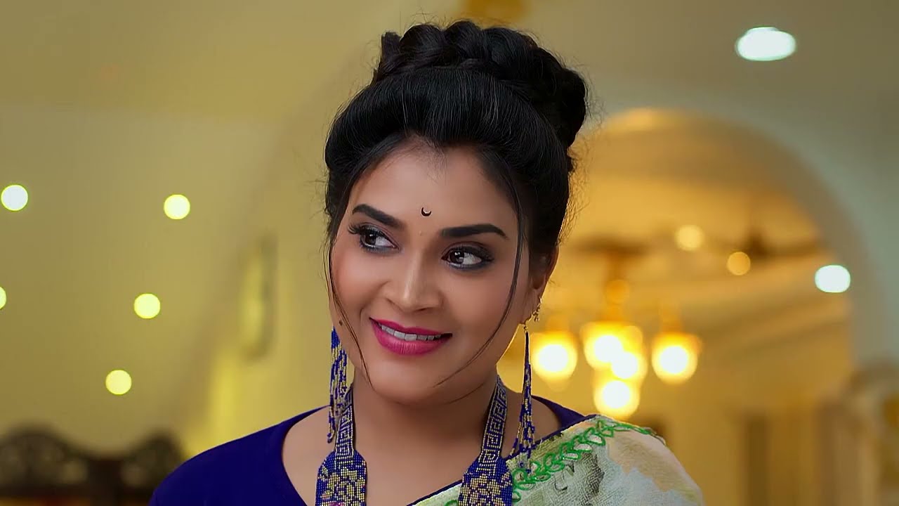 Meghana Exposes Santhosh in front of the Family - Megharagam - Full ep 300