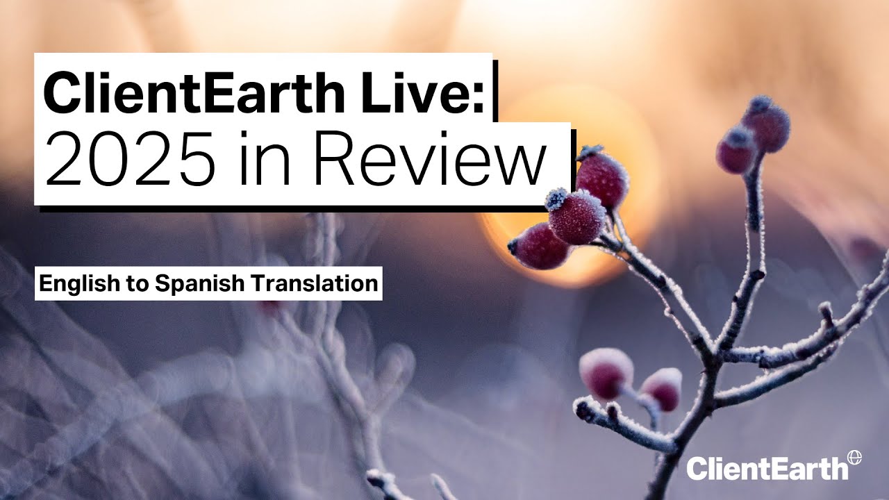 ClientEarth Live: 2025 in Review - Translated from English to Spanish