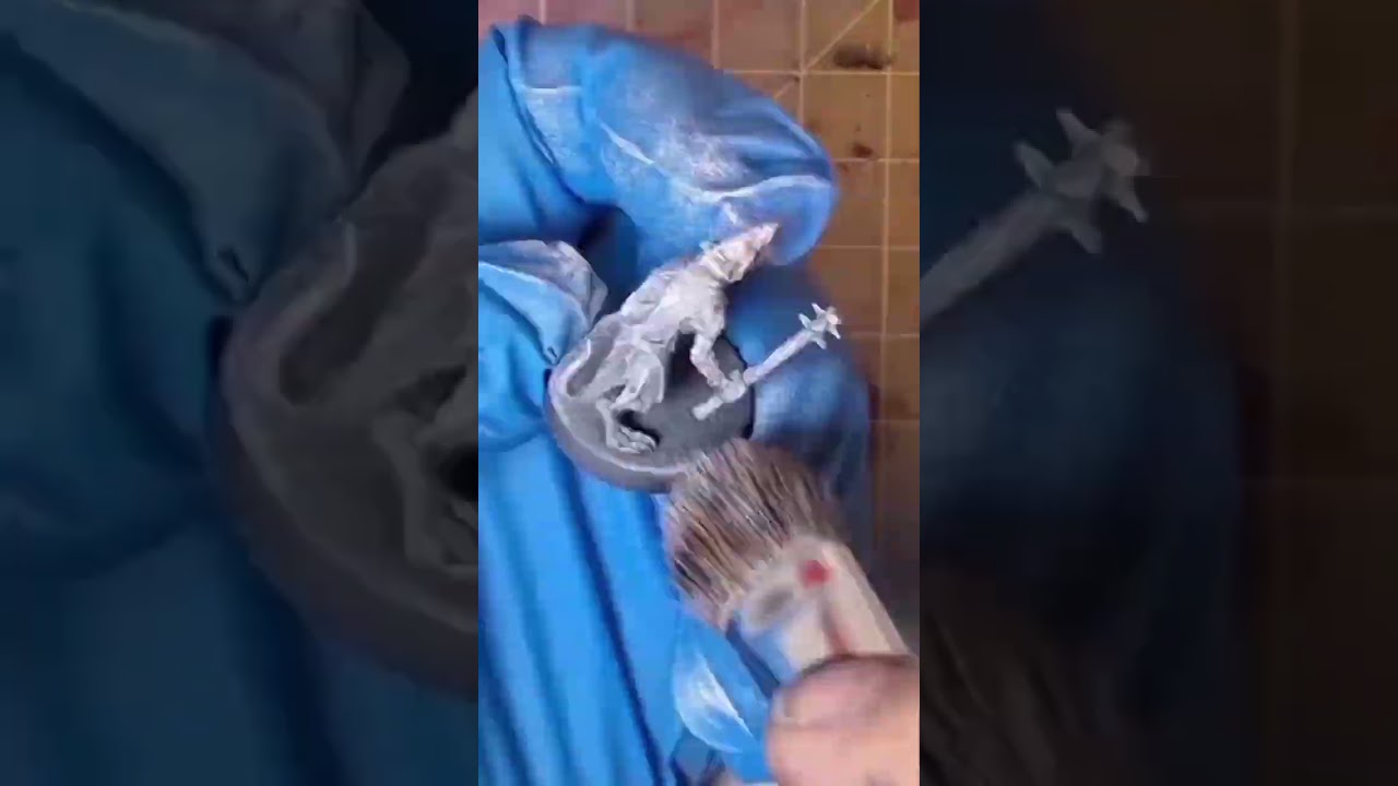 Dry Brushing