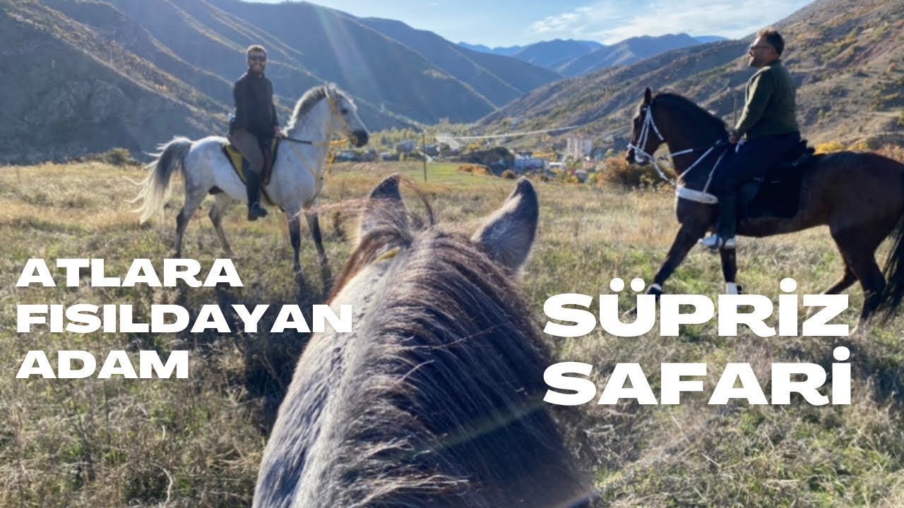 ATLARA FISILDAYAN ADAM İLE SAFARİ, BOL AKSİYON BOL SOHBET