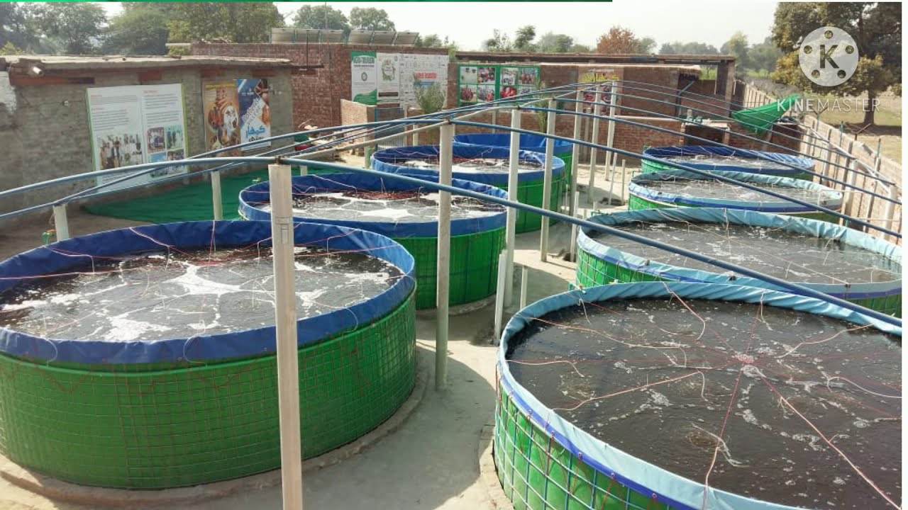 biofloc fish farming in pakistan temperature maintenance