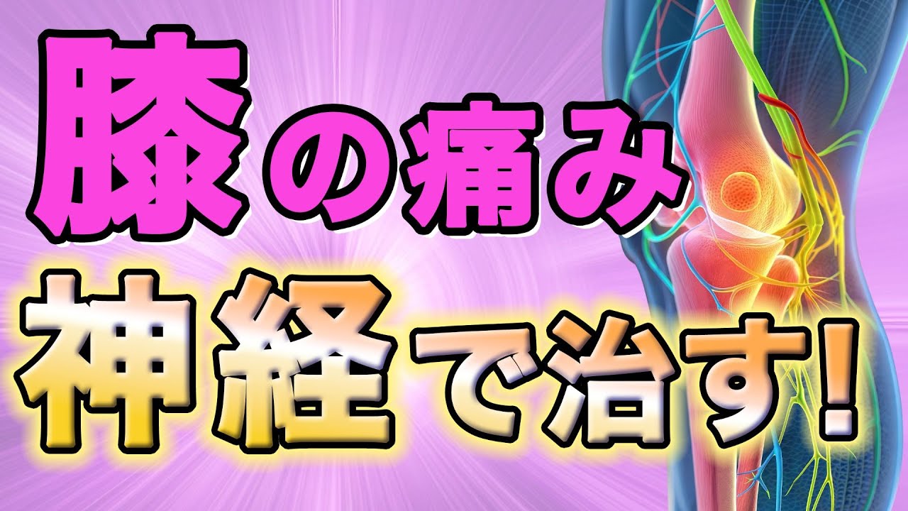 【警告】膝の痛みにヒアルロン酸やコンドロイチンはもうやめて！9割の人が知らない本当の原因「伏在神経」アプローチ法