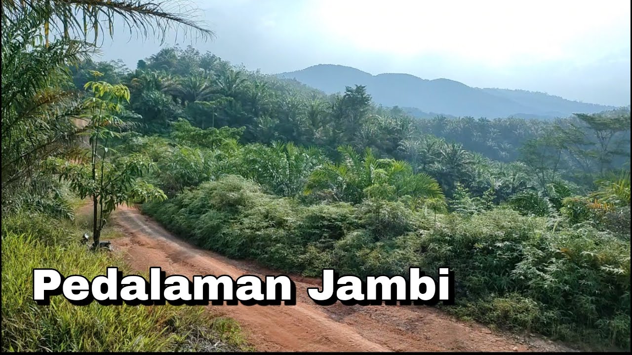 pedalaman Jambi Sumatera