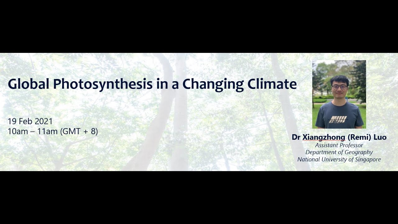 Global Photosynthesis in a Changing Climate