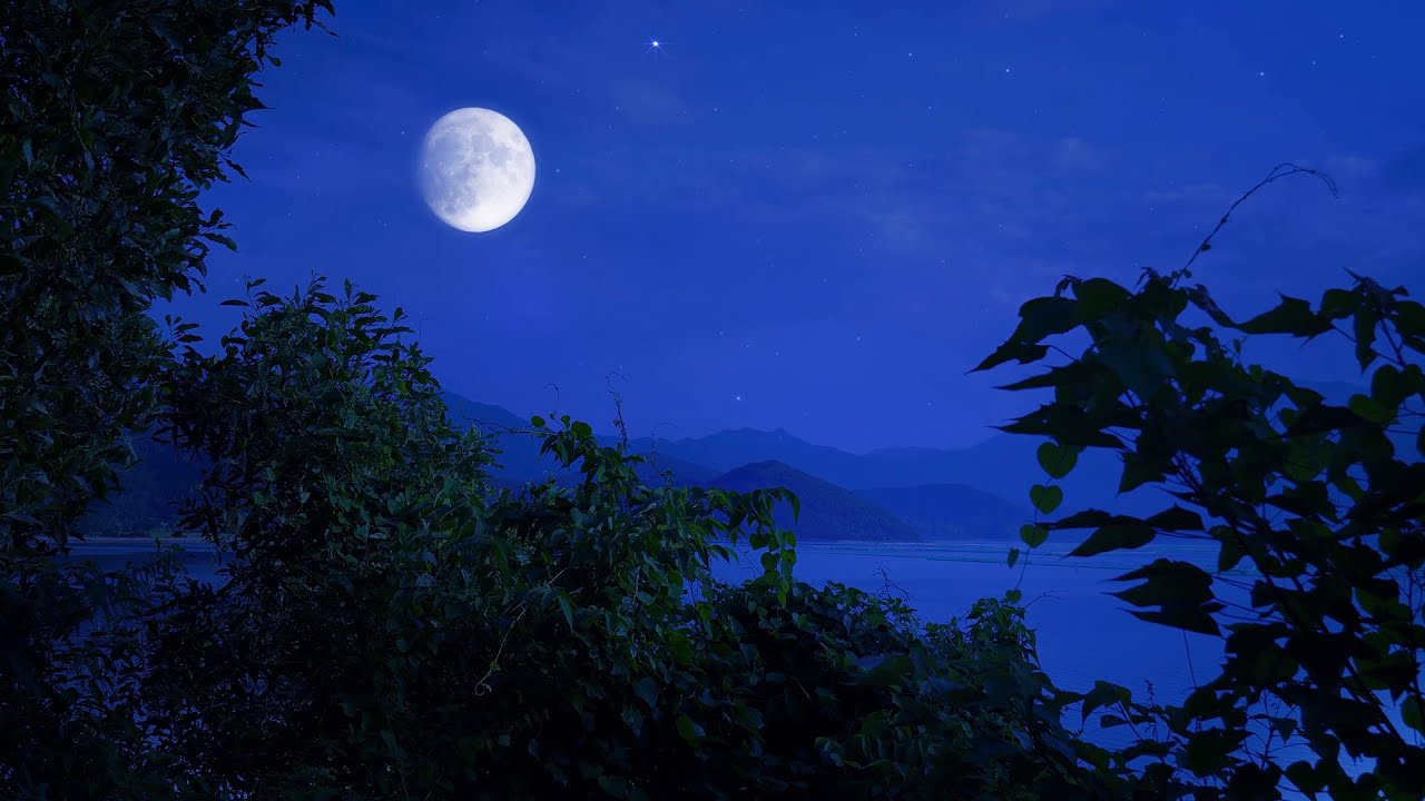 Night Forest Ambience, Crickets at the Mountain, Nature Sounds, Summer Night Sounds, Sleep & Relax