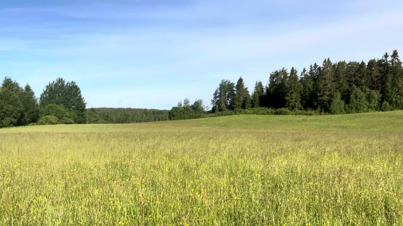 Pausa med snälla ögon - stretcha ditt självledarskap ut ur konflikt/utmaning/jobbiga känslor