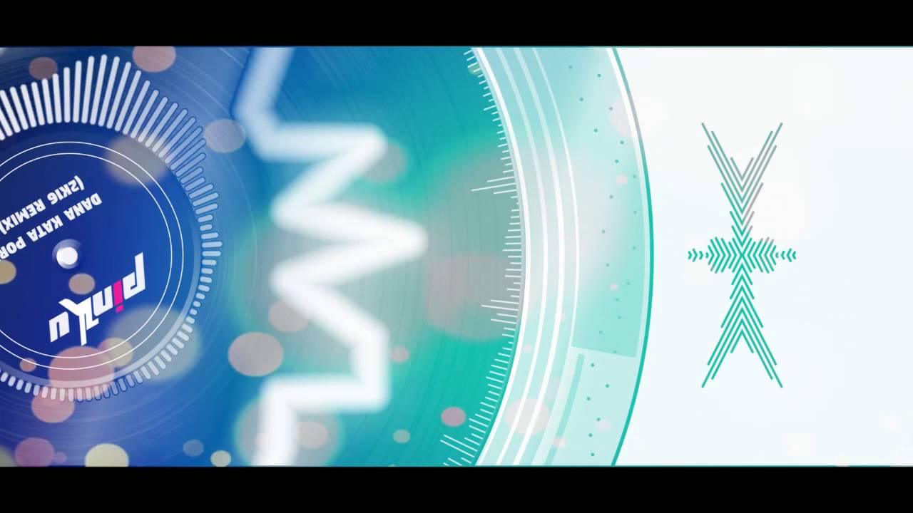 DANA KATA PORI  (2K16 REMIX) Dj Pinku (Spectrum Visualizer)