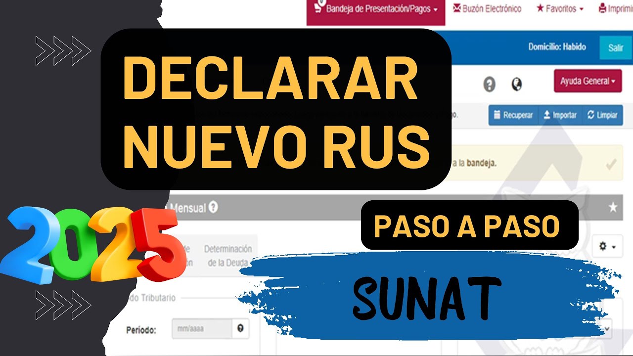 COMO DECLARAR EL NUEVO RUS - SUNAT  / declaracion de impuesto del NRUS