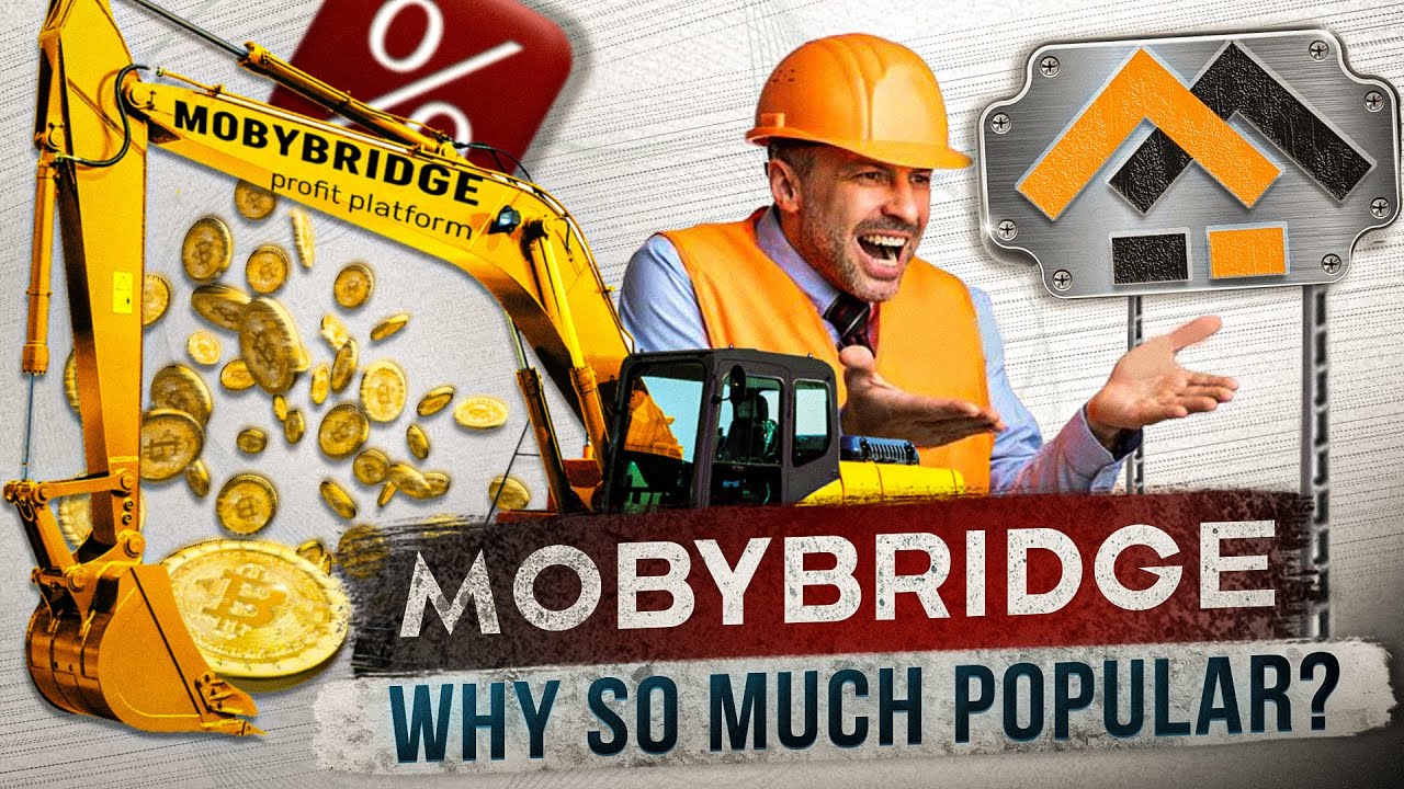 Mobybridge - Reviews and Analysis // Does the Game cost Benefits with Income up to 1.4% per day?
