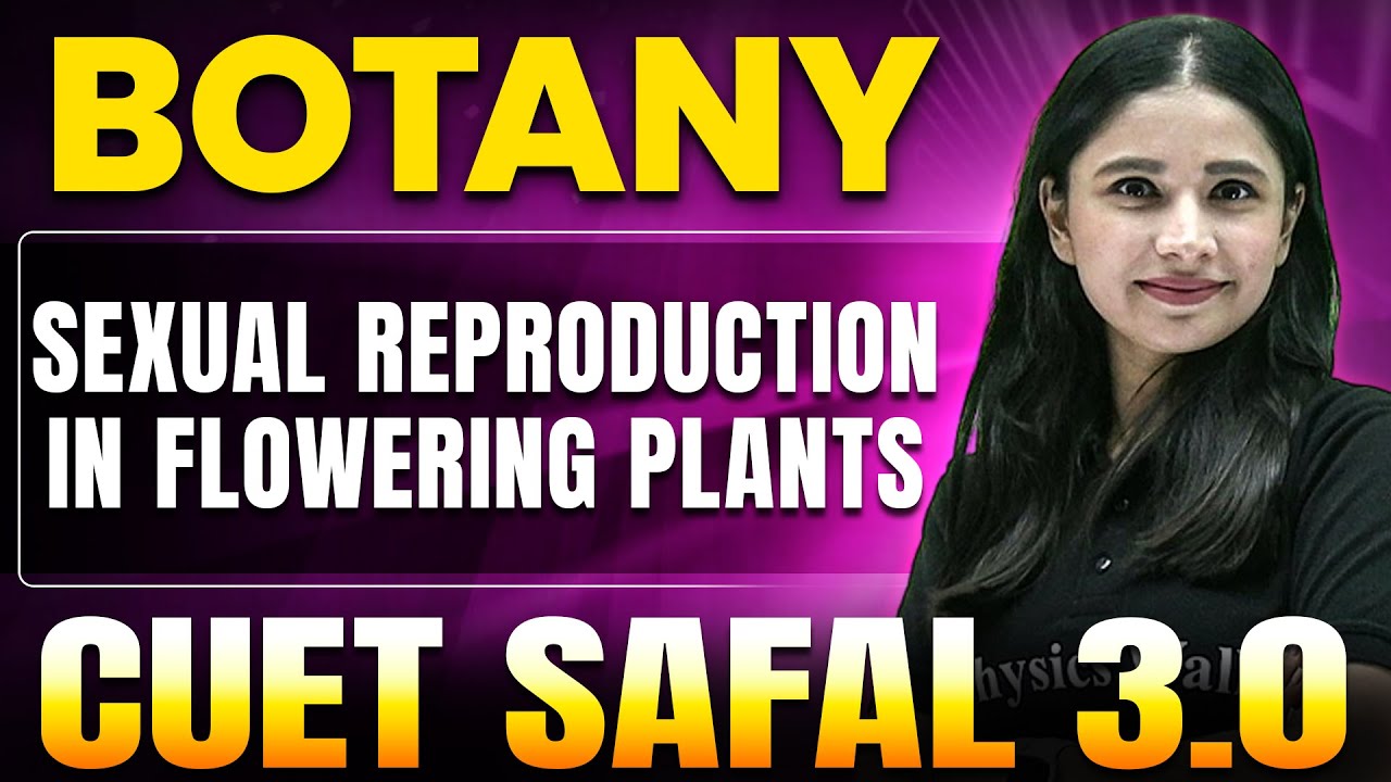 Sexual Reproduction in Flowering Plants | Biology for CUET 2025 | CUET SAFAL 3.0💪