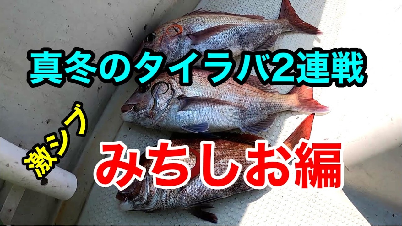真冬のタイラバ２連戦　激シブみちしお編