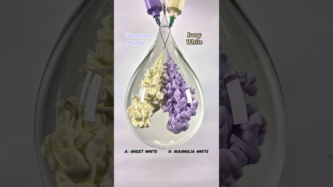 Victorian Purple Vs Ivory White = ? 