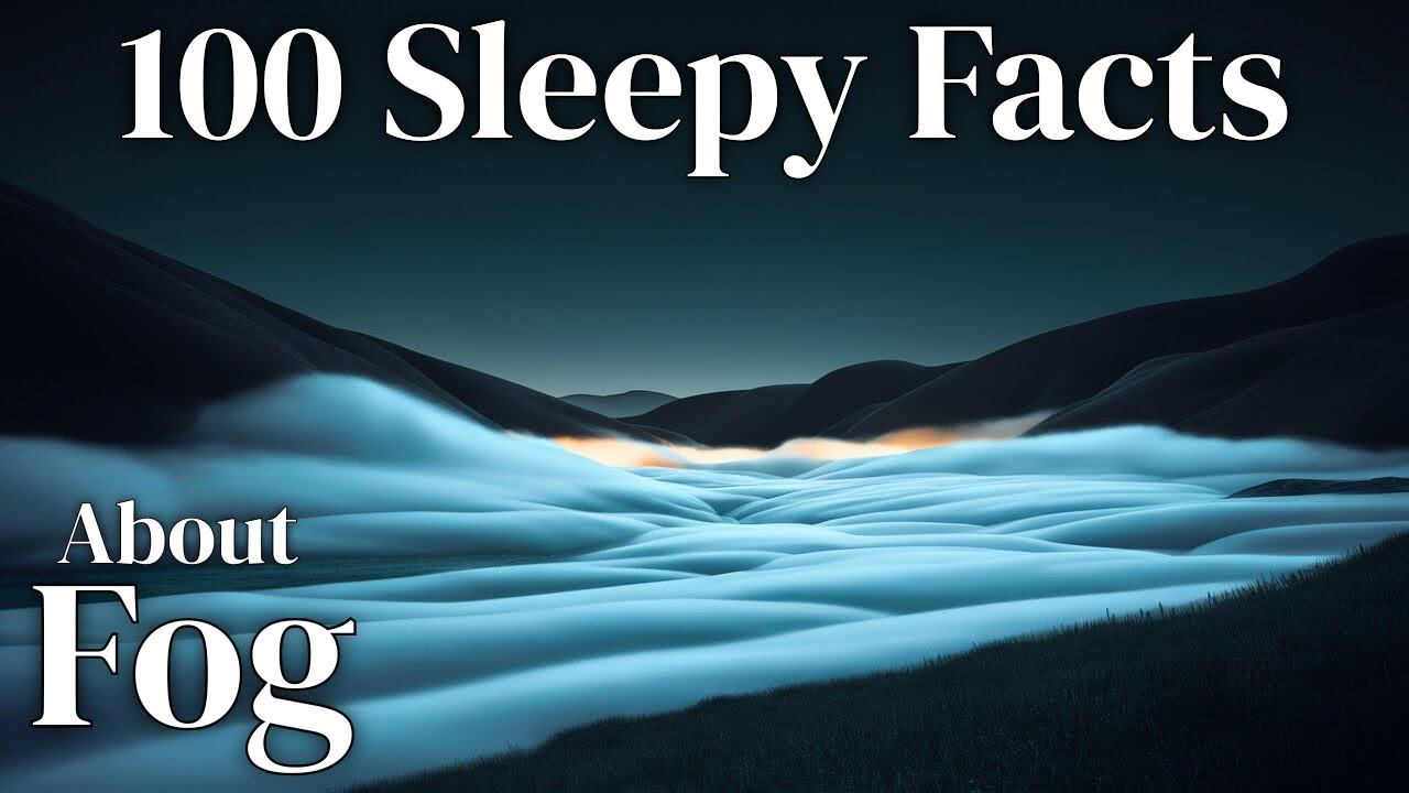 100 Sleepy Facts About Fog | Meteorology for Sleep