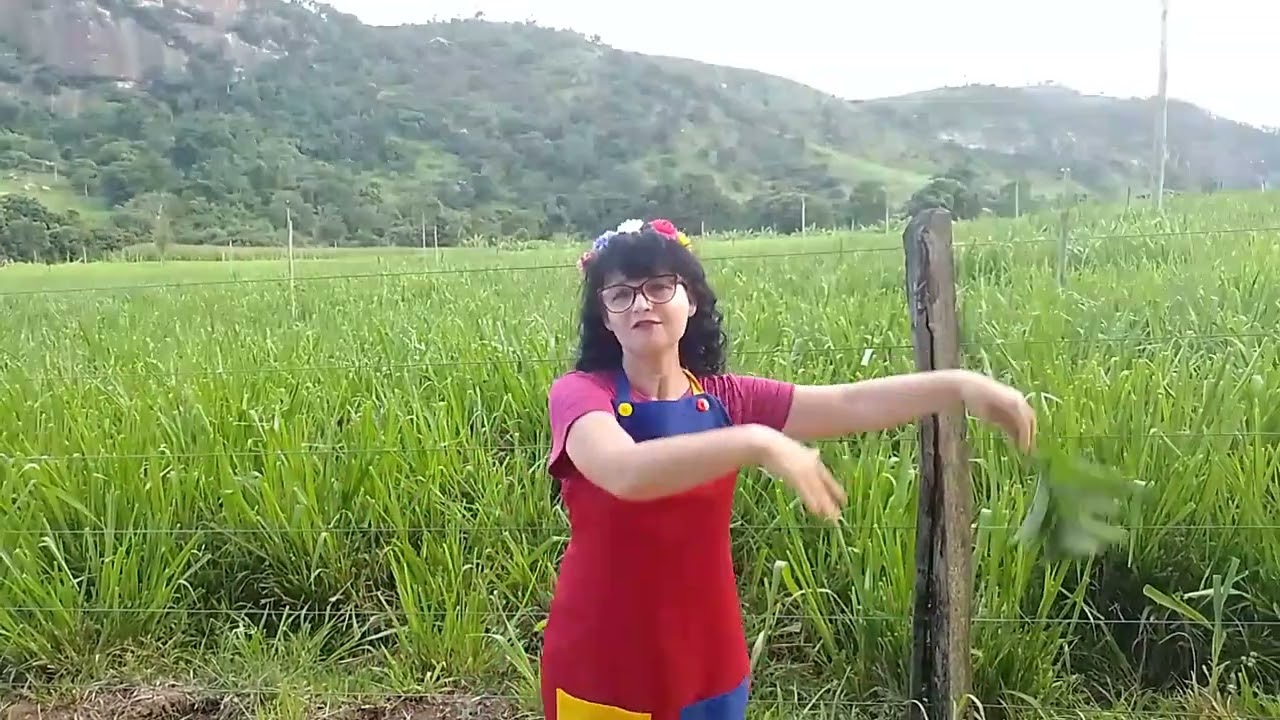A folha que não queria cair . 