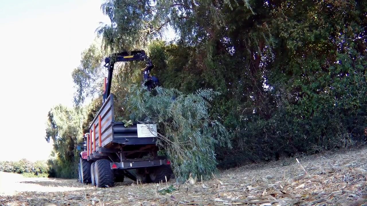 JAK 250 Fällgreifer mit BMF Rückewagen und 8,5m Kran