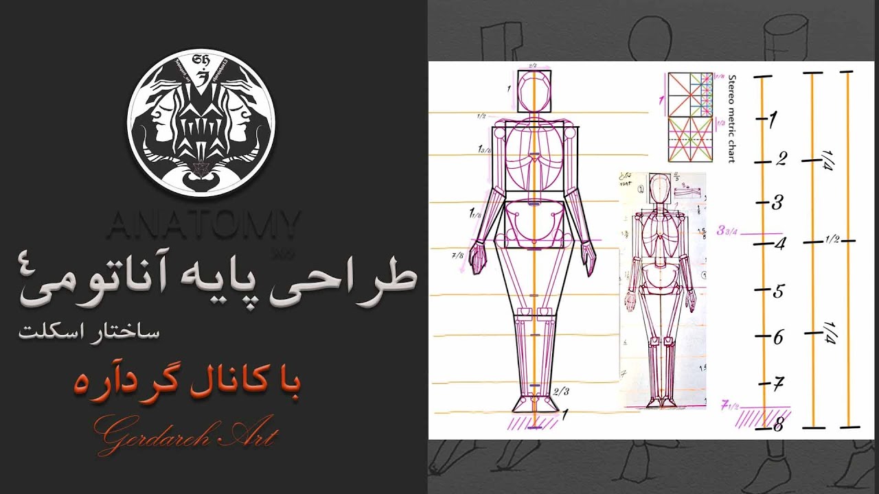 آموزش طراحی پایه آناتومی ـ ساختار اسکلت ۴/ Skeleton Drawing