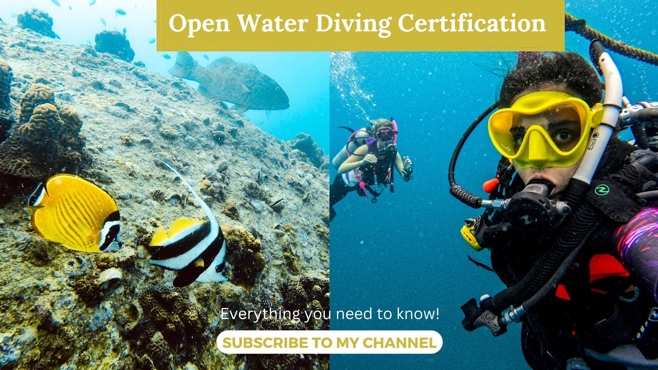 PADI Open Water Course Thailand: How I Became a Certified Scuba Diver