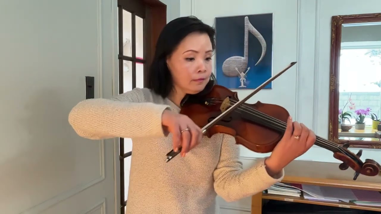 The Boy Paganini Fantasia, E. Mollenhauer