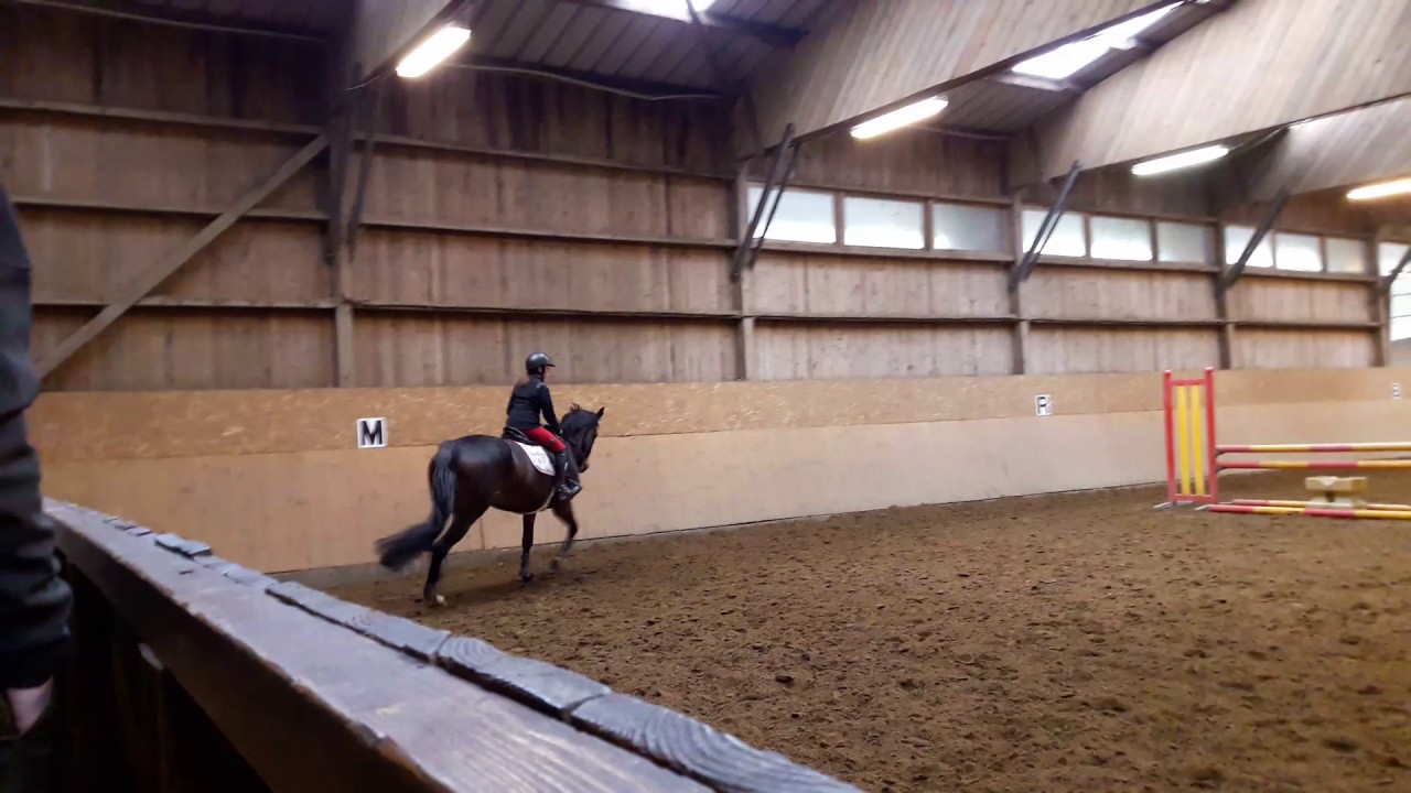 Galop 6 CSO