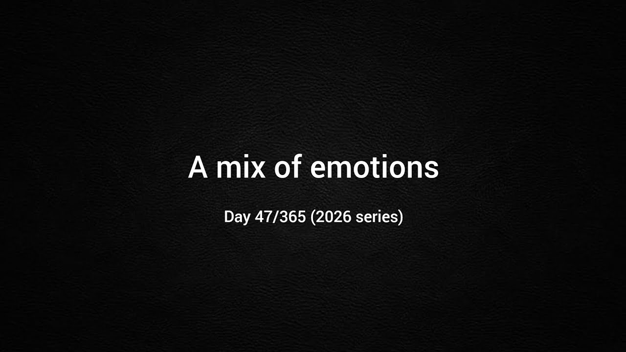 Learning to pause without guilt | Day 47/365