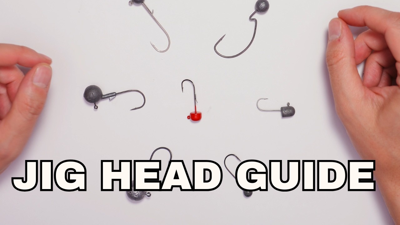 JIG HEAD fishing Tipps: Choose HOOK SIZE and WEIGHT!