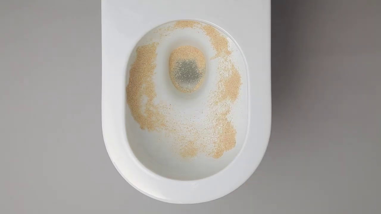Swirlflush®   Sawdust Test   GSI ceramica - BAGNO EXPERT -
