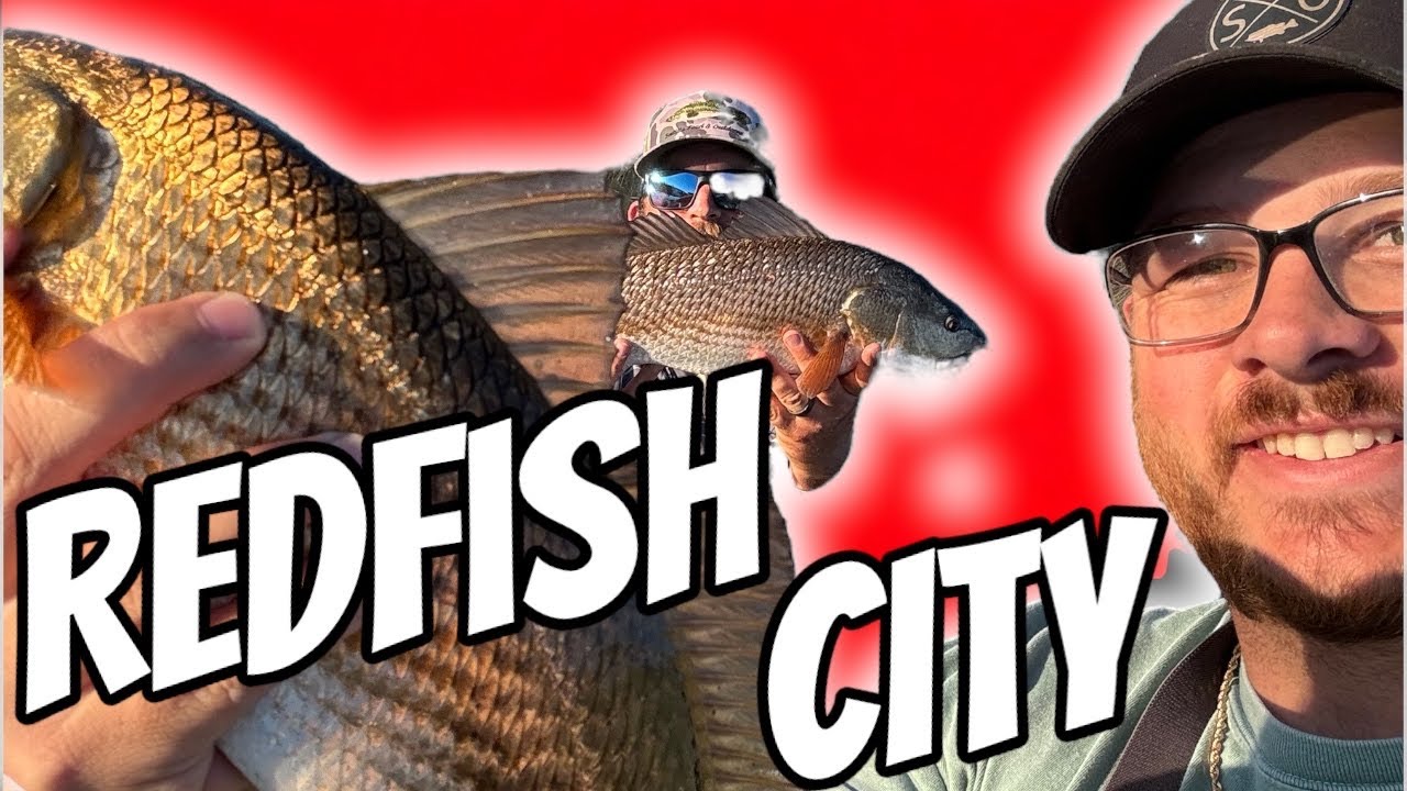 Rapala Crush City Mayor is the MVP of inshore fishing ( Brunswick Georgia inshore slam ) 🎣 🔥