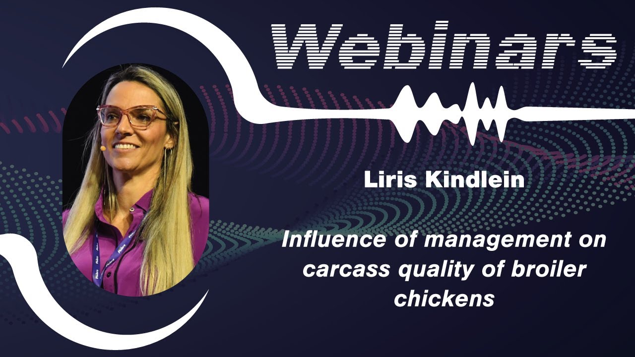 Influence of management on carcass quality of broiler chickens