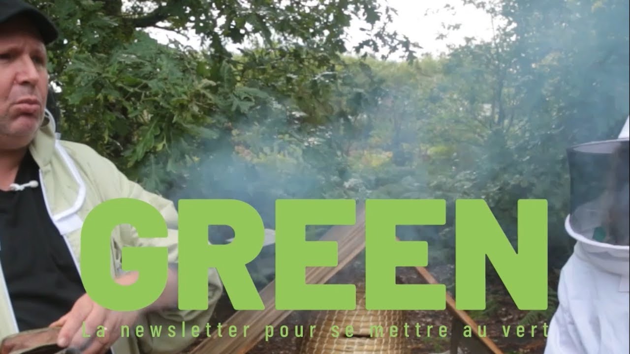 Green News #4 - Prenons soin de nos abeilles 🐝