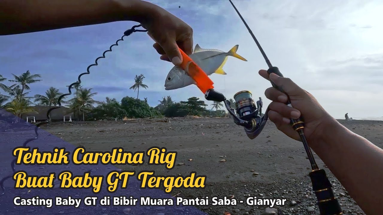 Ultralight Casting di Pantai Saba - Gianyar, Pakai Tehnik Carolina Rig Memang Ampuh | Pales Bungker