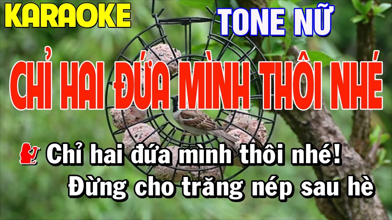 Chỉ Hai Đứa Mình Thôi Nhé Karaoke Tone Nữ | Thái Tài