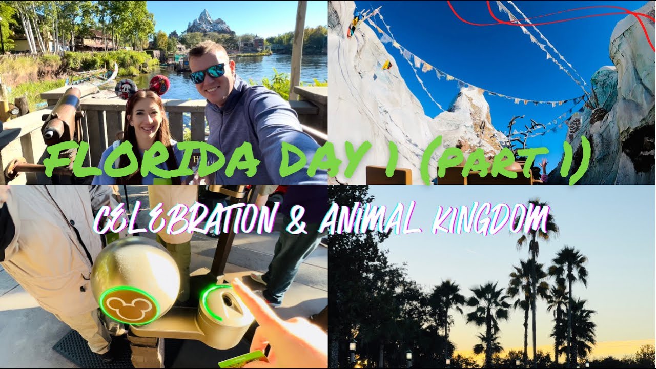 DISNEY WORLD Florida Day 1 (part 1): Celebration Town & Animal Kingdom!